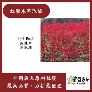 若亞方舟 紅灌木萃取液 需冷藏 Red Bush 紅灌木 萃取液 化妝品級