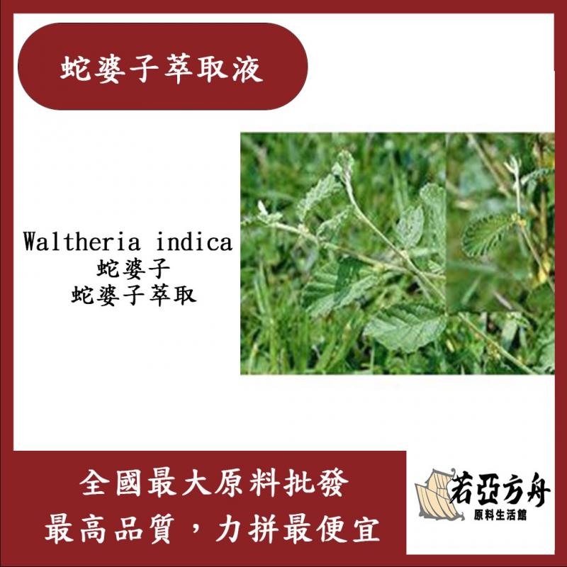 若亞方舟 蛇婆子萃取液 Waltheria indica 蛇婆子 蛇婆子萃取 化妝品級