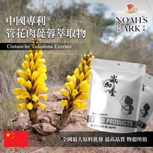 若亞方舟 中國專利®管花肉蓯蓉萃取物 保健原料 食品原料 苯乙醇苷40% 松果菊苷10% 毛蕊花糖苷4%管花肉蓯蓉 萃取物 沙漠人參