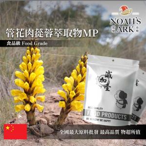 若亞方舟 管花肉蓯蓉萃取物MP 中國 10：1 保健原料 食品原料 沙漠人參