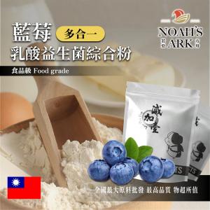 若亞方舟 藍莓乳酸益生菌綜合粉 台灣 保健原料 長效多合一 益菌粉 植物乳桿菌 乳酸 益生菌 酵素 維生素
